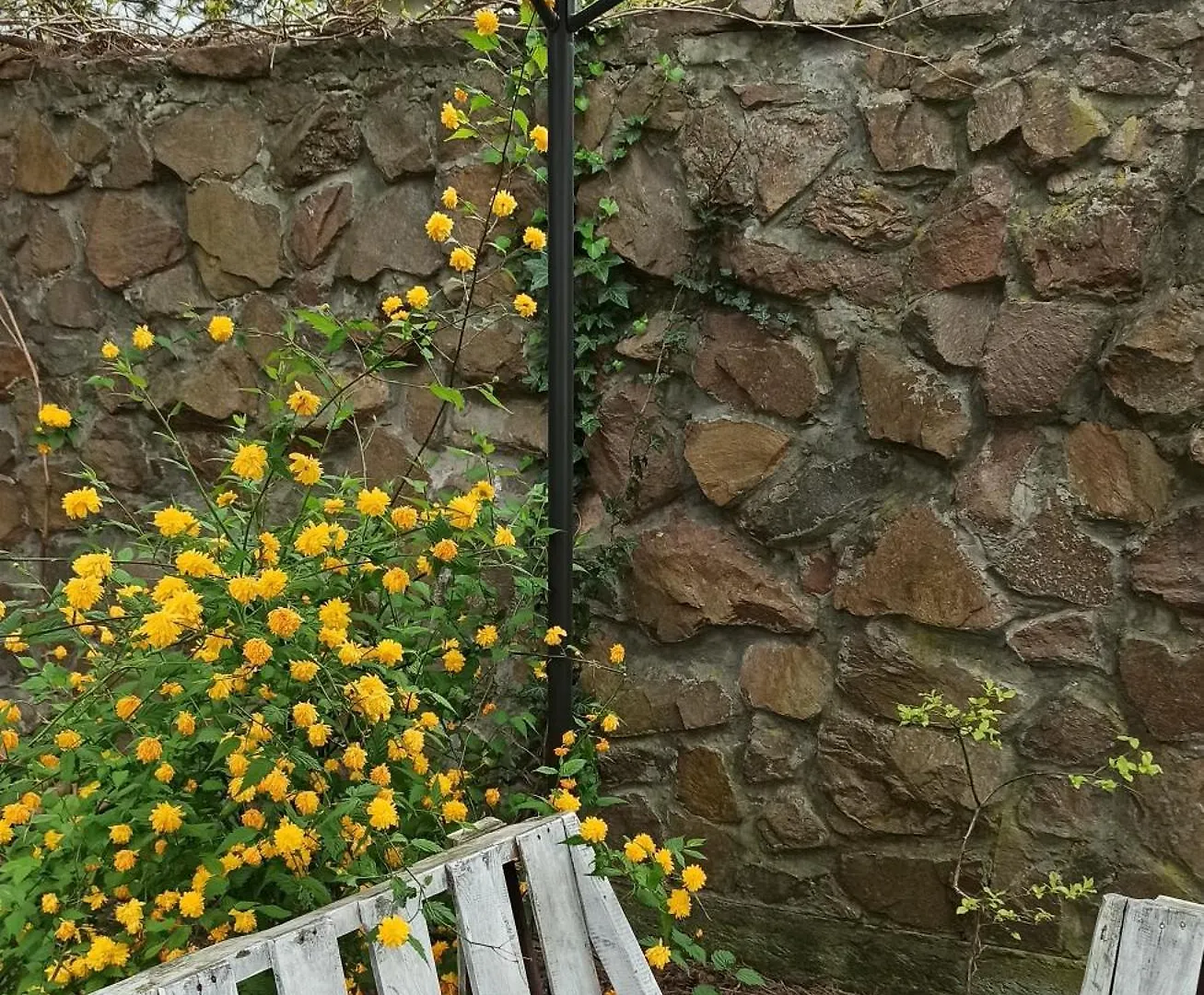 Willa Retro Hostel & Garden Краков Польша