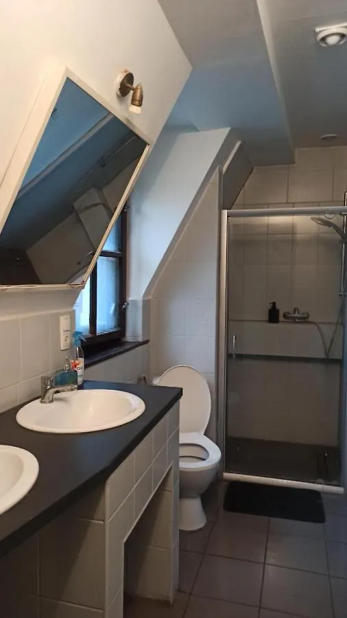Willa Retro Hostel Cracovia Polonia